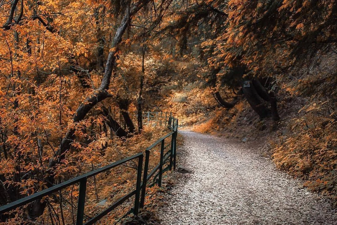 Places to Visit in Ayubia