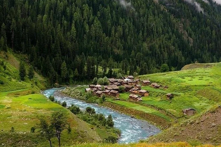 Minimarg