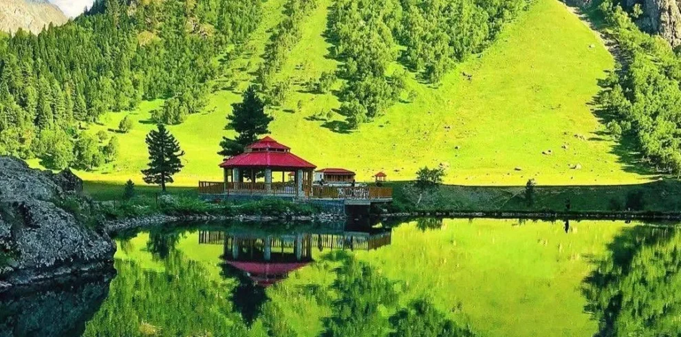 Minimarg