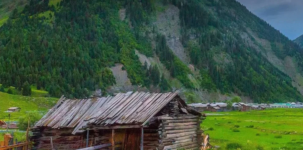 Minimarg