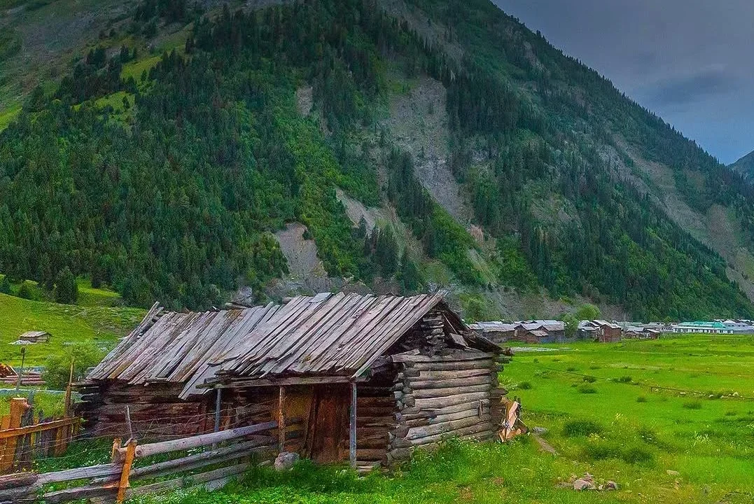 Minimarg